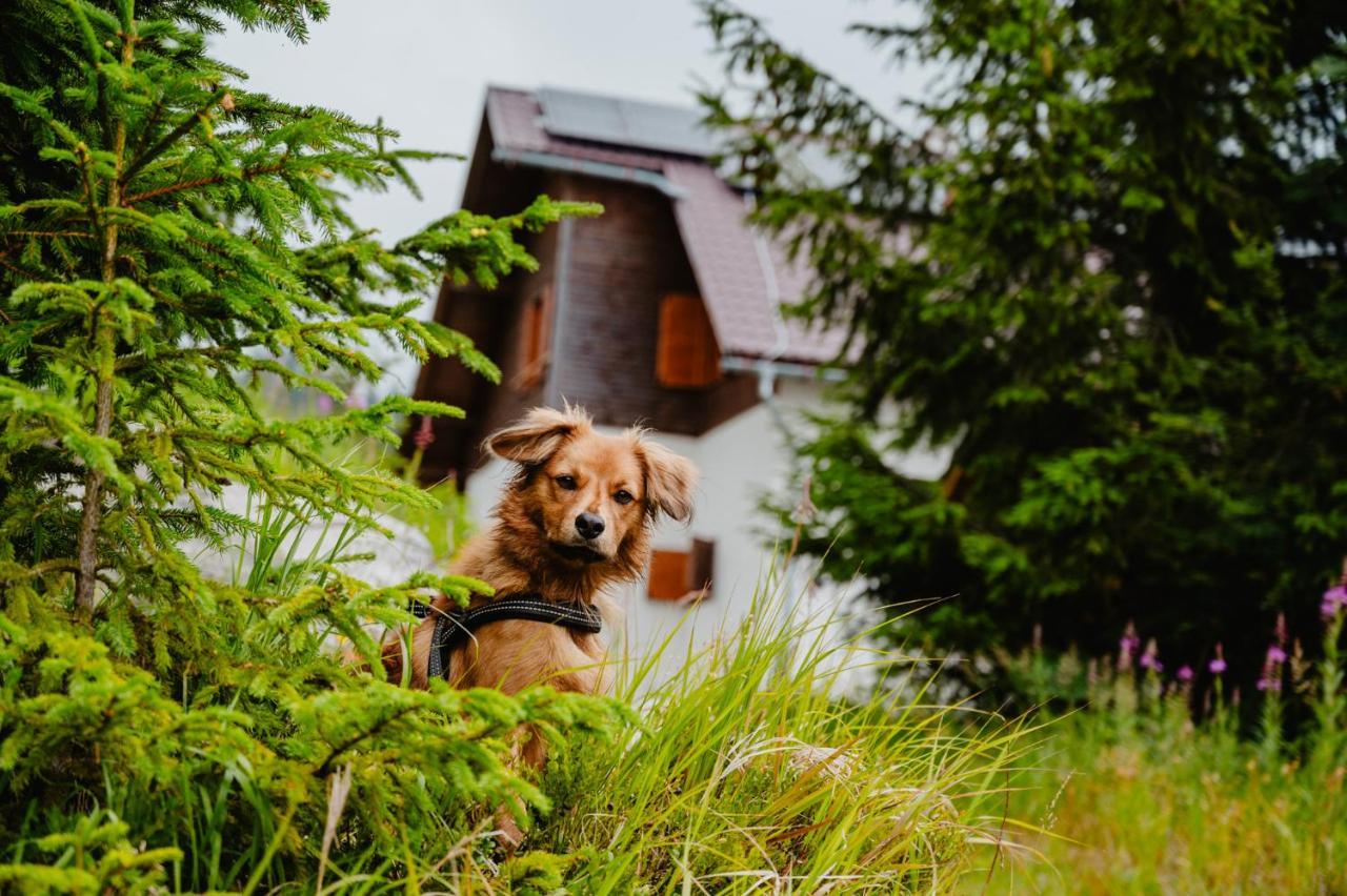 Jambrichova Chata Vysoké Tatry エクステリア 写真
